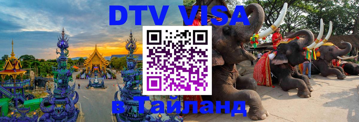Оформление DTV визы под ключ: стоимость и тарифы, только загранпаспорт - 19.11.2025 